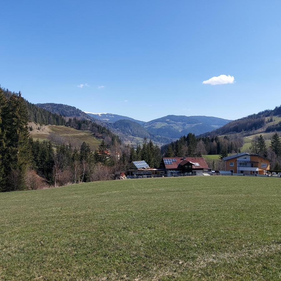 Greimblick Daire Sankt Peter am Kammersberg Dış mekan fotoğraf